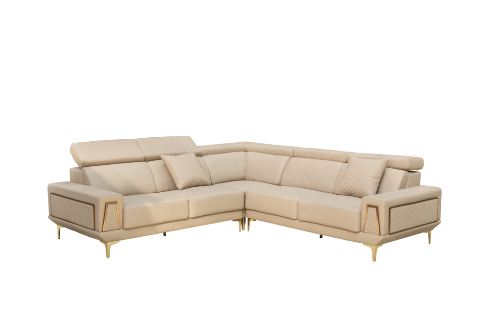 Scotch Genuine Leather Couch